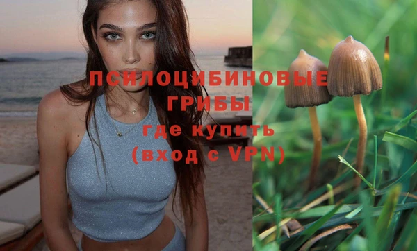 apvp Балабаново