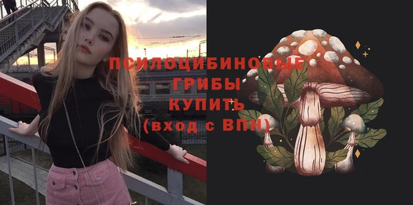 apvp Балабаново