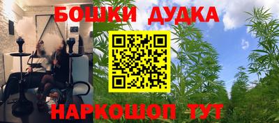 спиды Малгобек