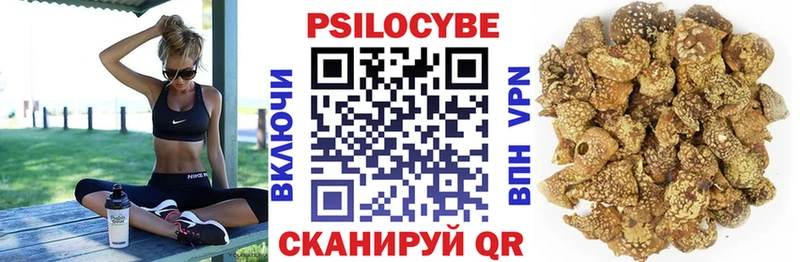 Псилоцибиновые грибы Psilocybe  Вольск 