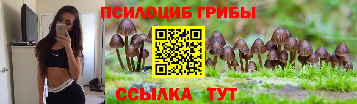 Галлюциногенные грибы ЛСД  Вход с VPN  Вольск 