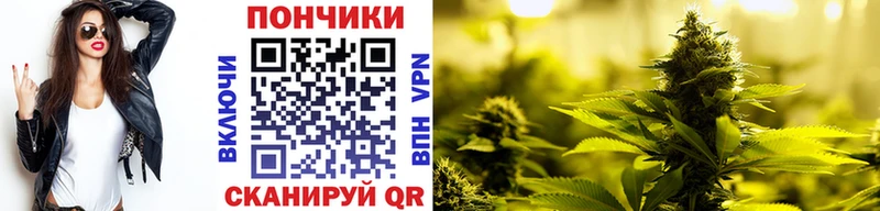 купить наркотики сайты  Вольск  OMG   Конопля LSD WEED 